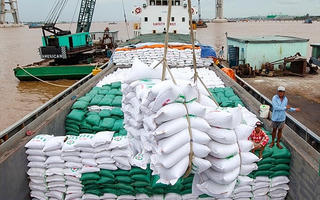 Giá gạo xuất khẩu cao nhất trong 10 năm