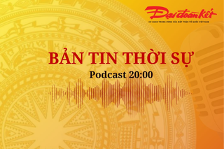 Bản tin thời sự 20h: Giá xăng tiếp tục giảm; Dự báo thời tiết ngày thi lớp 10 Hà Nội