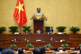 Đấu giá biển số ô tô: Mức giá khởi điểm nào là hợp lý?