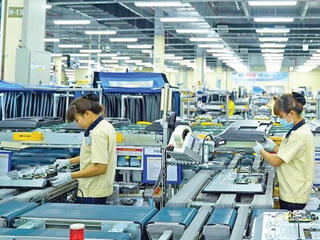 Nhiều cơ hội việc làm từ kinh tế xanh