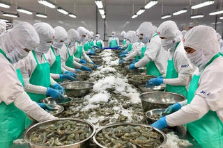 Thủy sản xuất khẩu: Thay đổi chiến lược để giữ đơn hàng