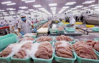 Xuất khẩu thủy sản sát mốc 10 tỷ USD