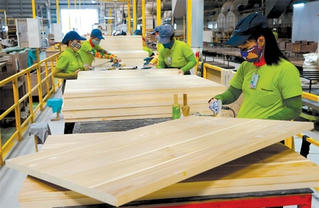 Đơn hàng phục hồi, ngành gỗ khởi sắc