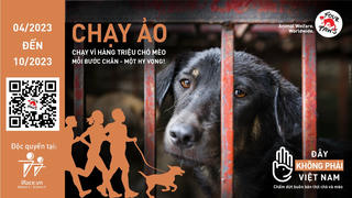 Hơn 16 nghìn người tham gia chạy trực tuyến vì chó, mèo 