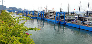 Quảng Ninh tạm ngừng cấp phép cho phương tiện thủy ra khơi từ 15h ngày 17/7