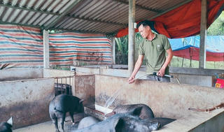 Huy động nguồn vốn hỗ trợ phát triển sản xuất hướng đến giảm nghèo bền vững