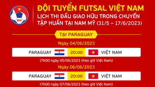 Lịch thi đấu của ĐT futsal Việt Nam với Paraguay và Argentina 