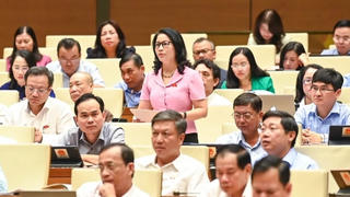 Cử tri không chấp nhận 'hứa mà không làm'