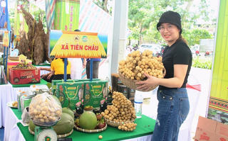 [ẢNH] Ngày hội sản phẩm miền núi xứ Quảng