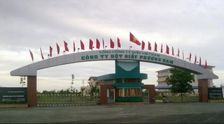 Loạt doanh nghiệp thuộc Bộ Công Thương làm ăn thua lỗ