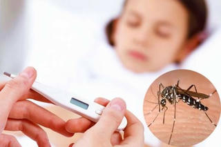 Bệnh sốt xuất huyết: Không chủ quan, tự điều trị tại nhà