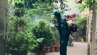 Số ca mắc sốt xuất huyết giảm