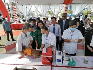 Bị chó cắn, người đàn ông chủ quan không tiêm vaccine dại