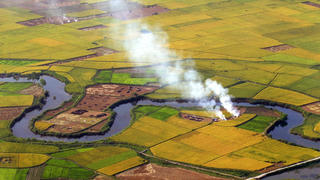 Nhớ mùi khói trên nương