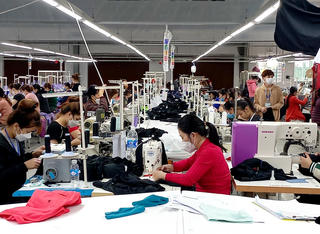 Hà Tĩnh: Hơn 500 doanh nghiệp thành lập mới, thu ngân sách hơn 8.600 tỷ đồng