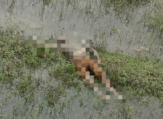 Hà Tĩnh: Phát hiện thi thể người đàn ông trên cánh đồng