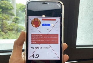 Hà Nội: Cài ứng dụng dịch vụ công giả, người phụ nữ mất tiền tỷ