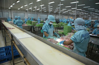Tận dụng cơ hội đến từ các FTA