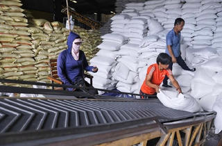 Gạo xuất khẩu: Tận dụng thế mạnh về chất lượng