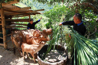 Tìm giải pháp để thoát tái nghèo