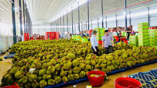 Đắk Lắk: Không cung cấp điện cho kho, xưởng chế biến vi phạm quy định về quản lý đất đai, trật tự xây dựng