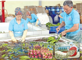 Xuất khẩu tăng tốc về đích
