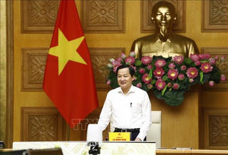 Bình ổn giá các mặt hàng thiết yếu