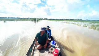 Săn sản vật mùa 'lũ chậm'