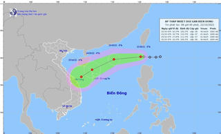 Áp thấp nhiệt đới gây sóng lớn, tàu thuyền khẩn trương ra khỏi vùng nguy hiểm