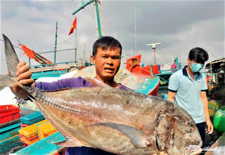 Quảng Ngãi: Ngư dân chở lộc biển cập cảng đón Tết