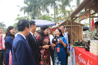 Tập trung nhân lực, vật lực tổ chức thành công Đại hội Mặt trận các cấp
