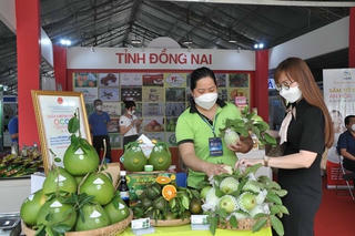 700 gian hàng sẽ tham gia kết nối cung cầu hàng hóa tại TPHCM
