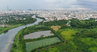 'Khát' mảng xanh đô thị