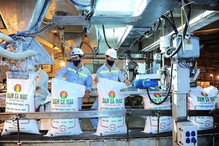 Doanh nghiệp phân bón trong nước vẫn gặp khó