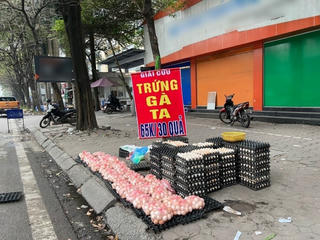 Đề nghị không tiêu thụ trứng gia cầm bày bán dưới danh nghĩa 'giải cứu'