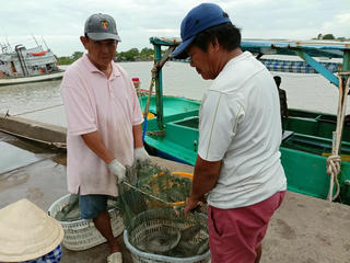 Ngư dân đón lộc biển