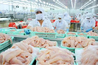 Xuất khẩu nông, lâm, thủy sản tăng tốc