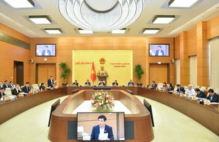 Băn khoăn mức phạt 'chỗ quá nhẹ, chỗ lại quá nặng'