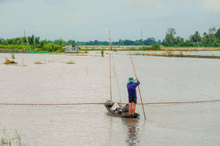 Ngóng chờ mùa nước nổi