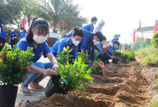 Những tuyến đường nở hoa