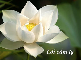 Lời cảm ơn