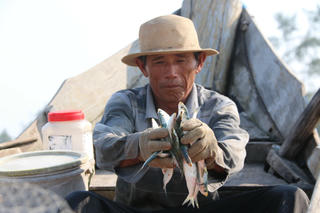 Ngư dân vui mừng đón lộc biển