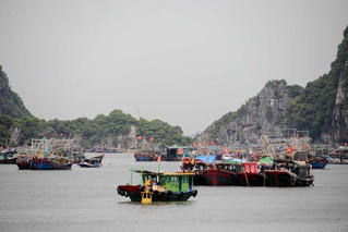 Quảng Ninh: Tạm dừng cấp phép các phương tiện thủy ra khơi từ chiều 19/10