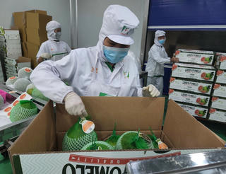 Xuất khẩu nông sản: Tận dụng tiềm năng từ EU