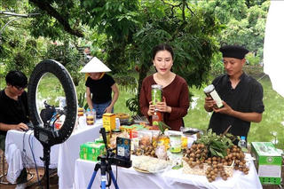 Thương mại điện tử: Tiên phong trong kinh tế số