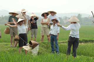 Du lịch nông nghiệp: Tìm cách bứt phá