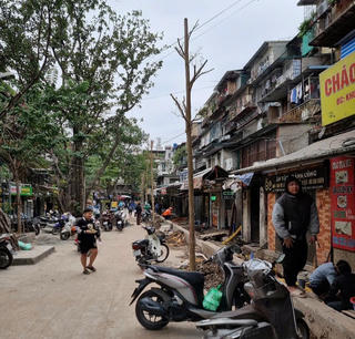 Hà Nội: Xử phạt doanh nghiệp tự ý chặt hạ cây xanh