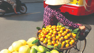 Mùa trôi trên phố