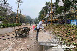 Hà Nội: Vườn hoa Hàng Đậu sửa lại sau khi bị chê là 'vườn đá' thiếu cây xanh