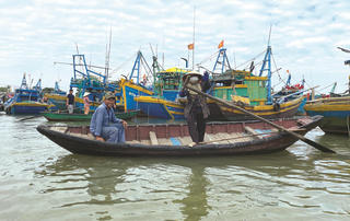 Những bóng hồng mùa biển động